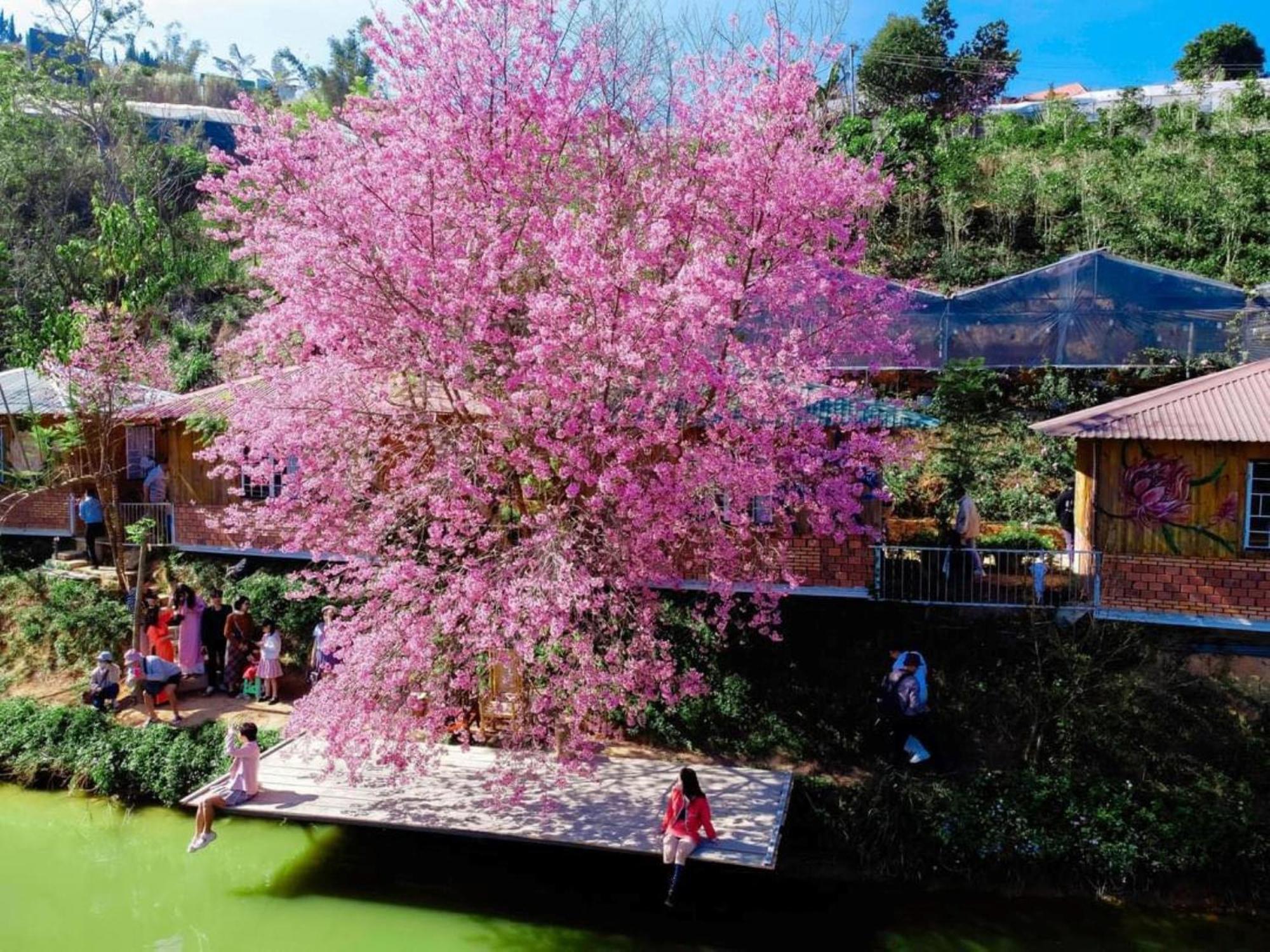 Nha Ben Ho - Da Lat Homestay Exterior foto